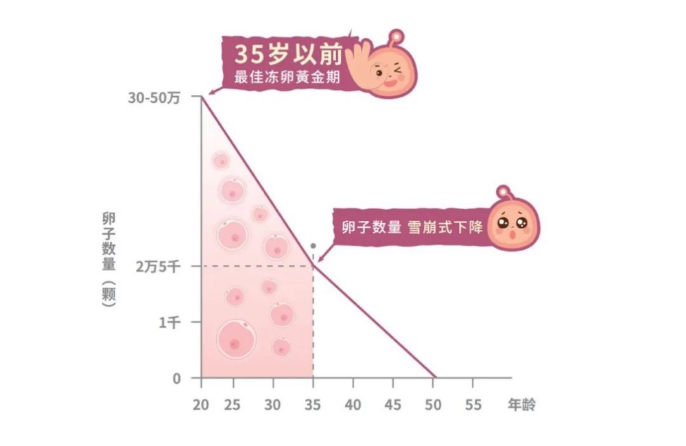 微信图片_20250410134545.png