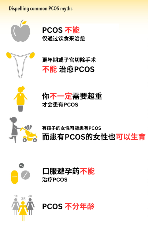 微信图片_20250410140243.png